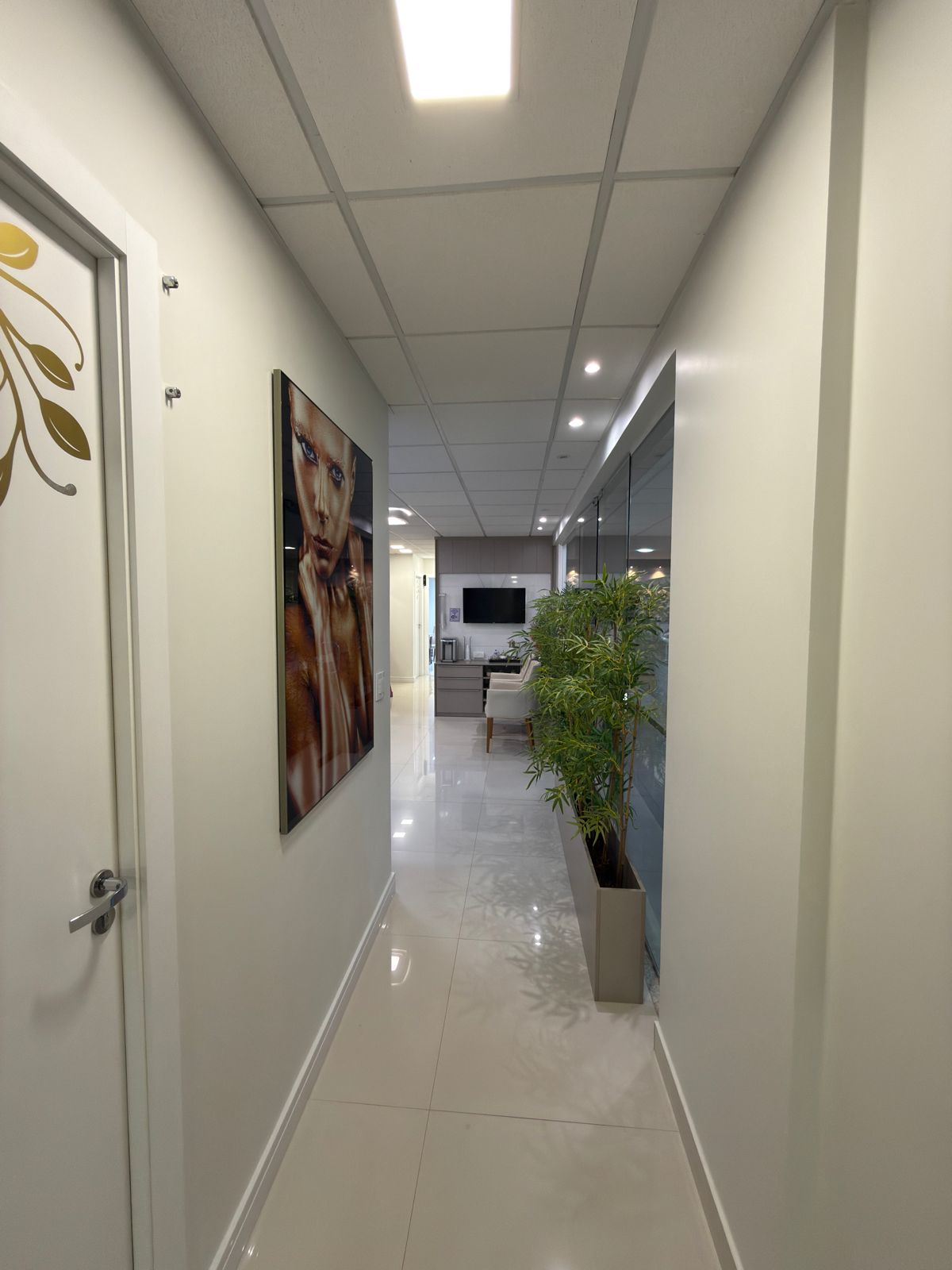 Corredor interno com quadros e plantas